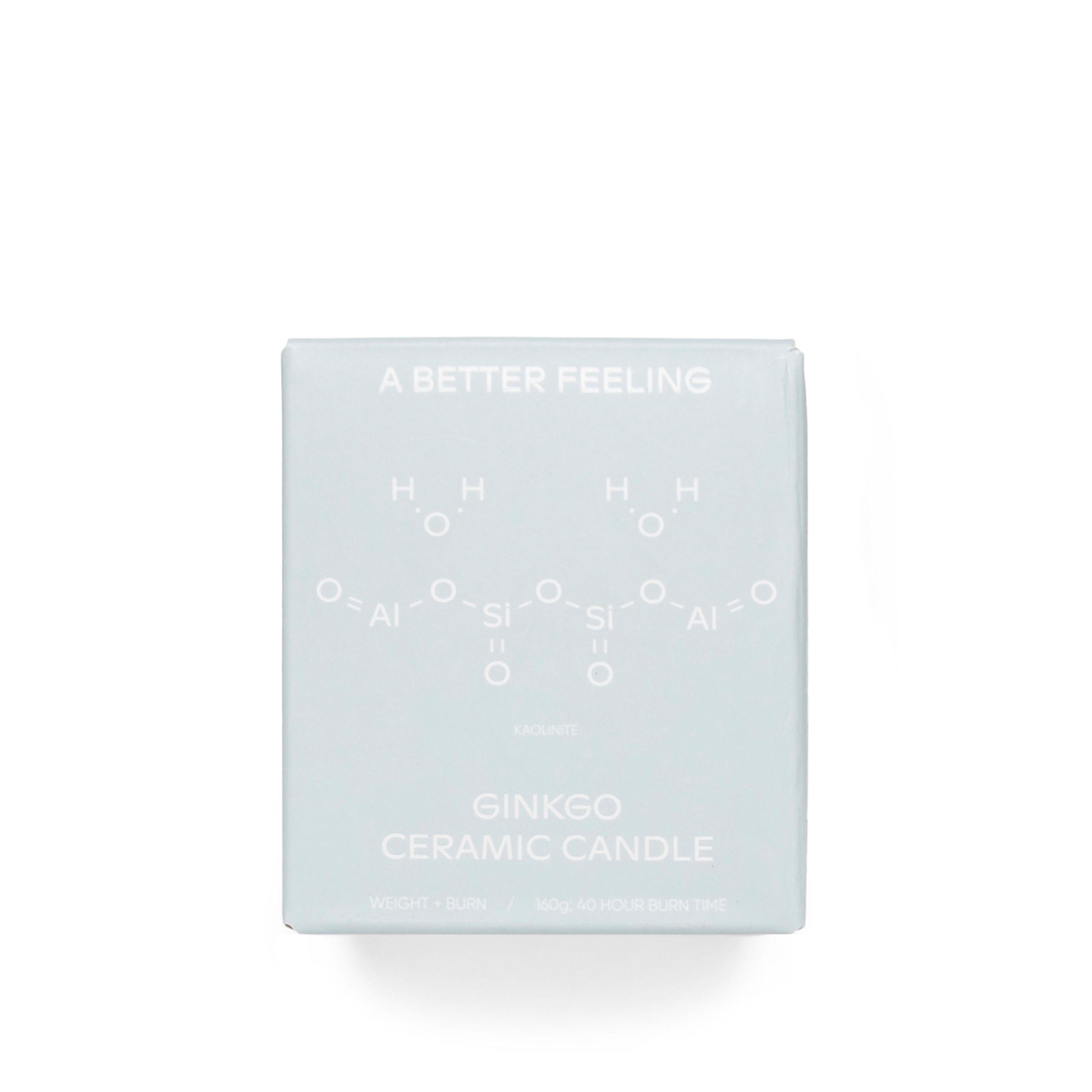 A BETTER FEELING Home WHITE / O/S GINKGO CERAMIC CANDLE