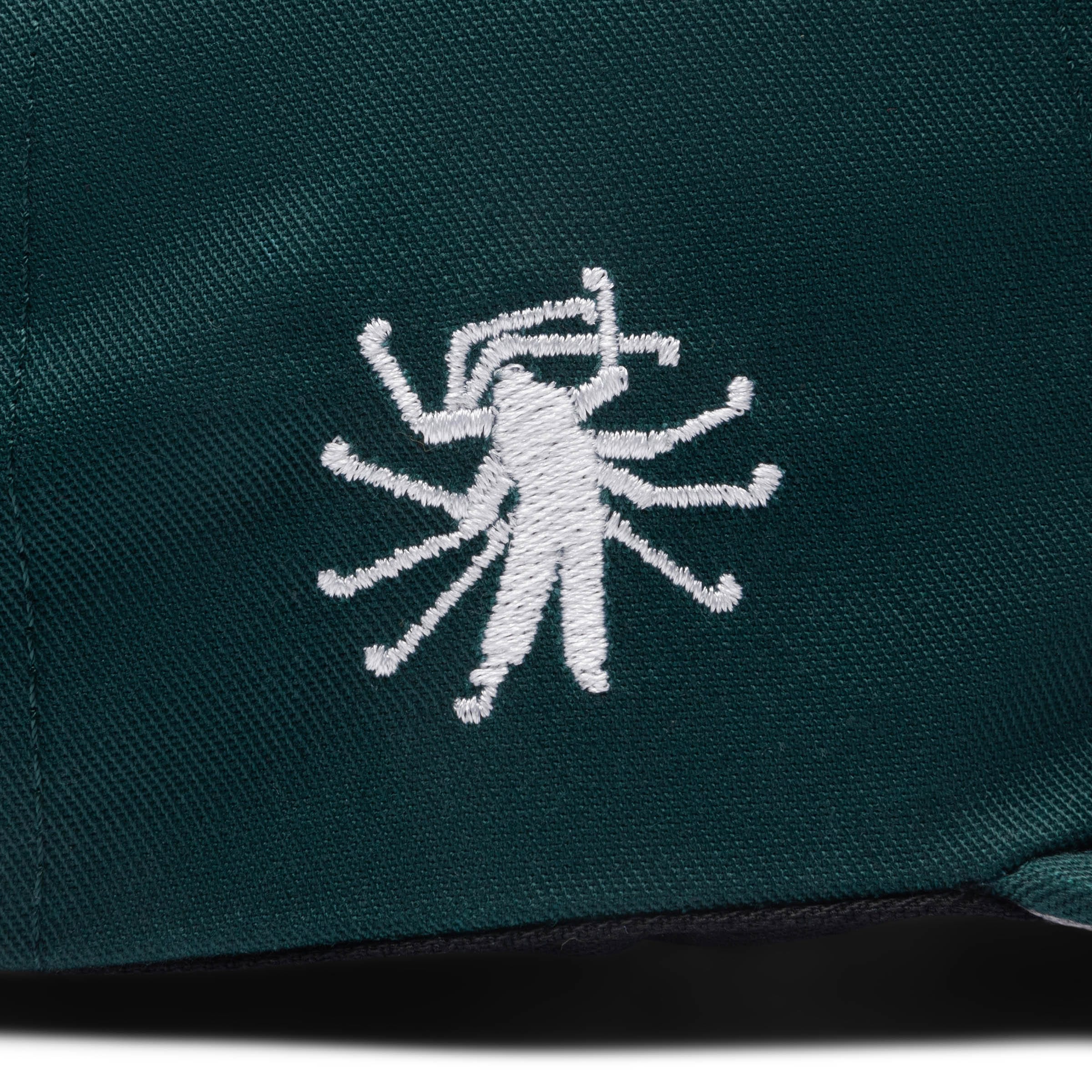 Forden Golf Headwear GREEN / O/S SCRIPT SNAPBACK