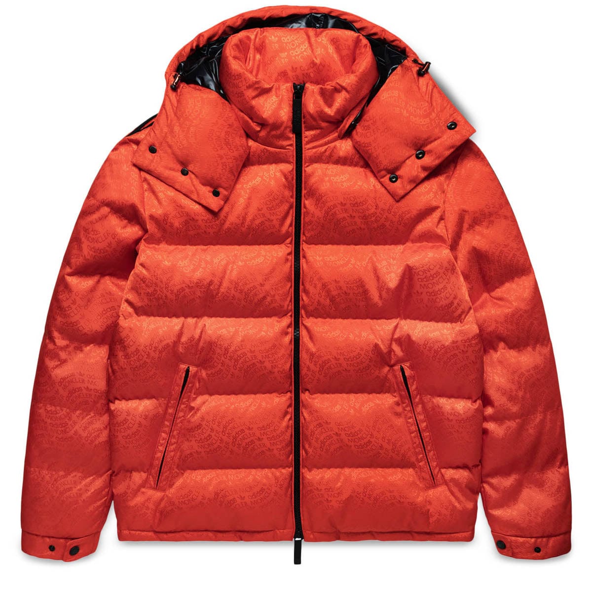 Moncler Genius Outerwear ALPBACH JACKET