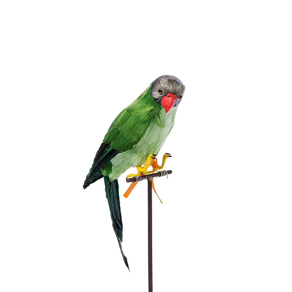 PUEBCO Odds & Ends GREEN PARROT / O/S ARTIFICIAL BIRDS: GREEN PARROT