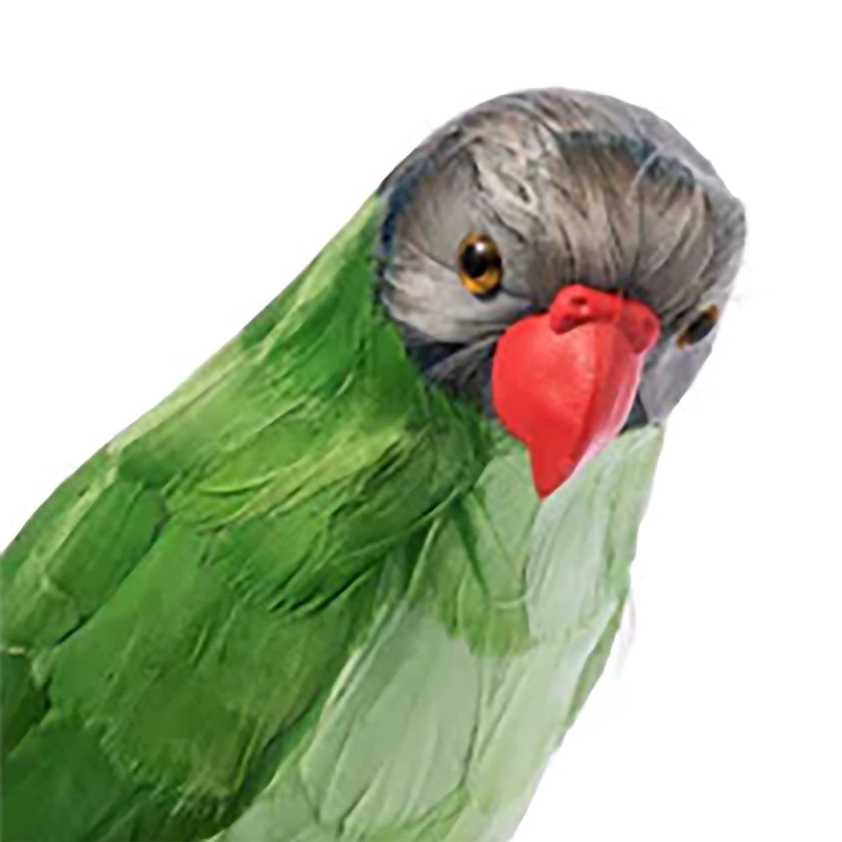 PUEBCO Odds & Ends GREEN PARROT / O/S ARTIFICIAL BIRDS: GREEN PARROT